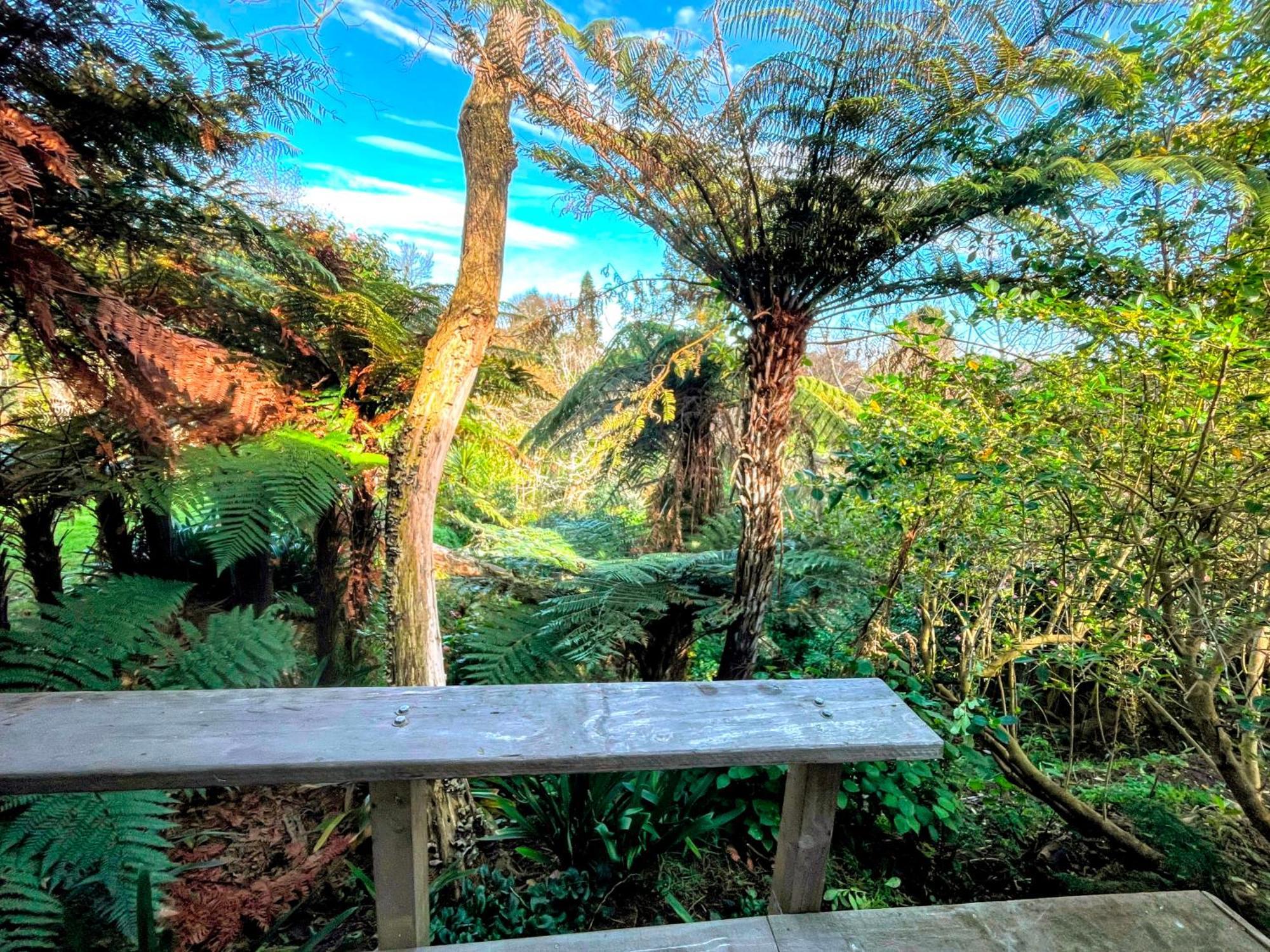 Gully Hideaway Apartment Hamilton Dış mekan fotoğraf