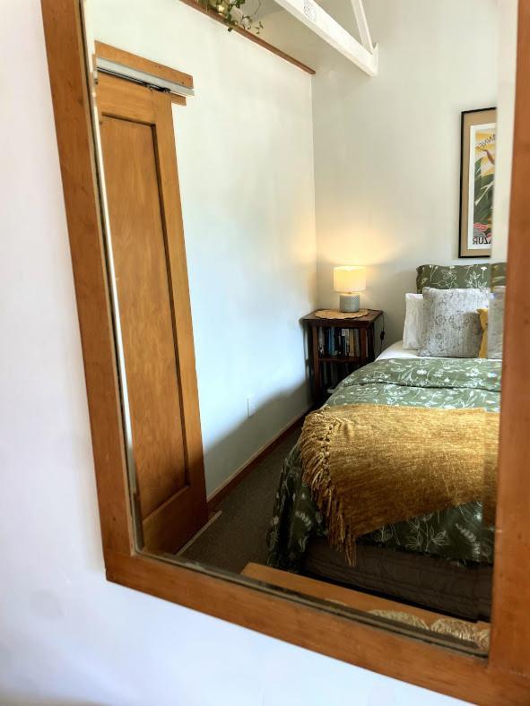 Gully Hideaway Apartment Hamilton Dış mekan fotoğraf