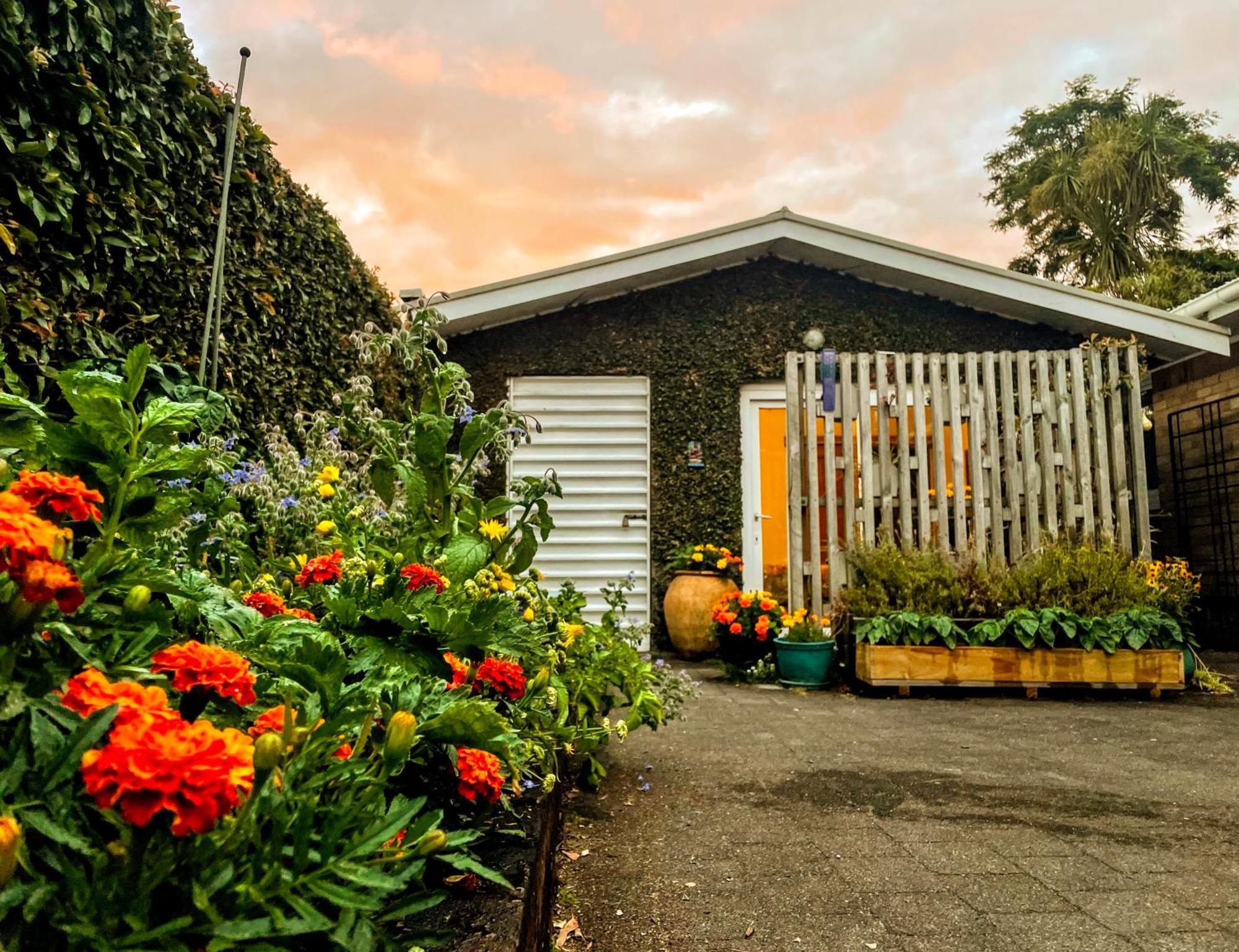 Gully Hideaway Apartment Hamilton Dış mekan fotoğraf